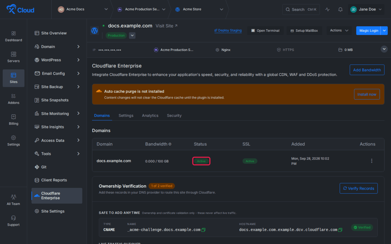The domain and SSL status showing Active.