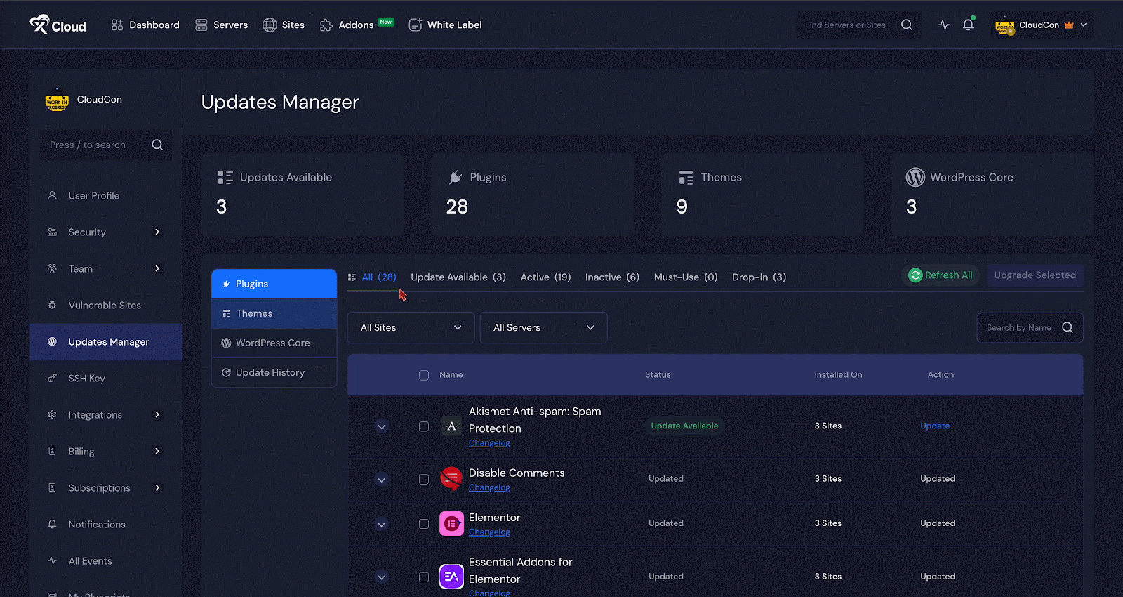 Update Plugins, Themes, and WordPress Core